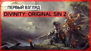 Говорят, это одна из лучших cRPG последнего времени ● Divinity: Original Sin 2