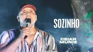 Ceian Muniz - Sozinho (Brega de Luxo 2)