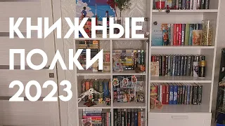 КНИЖНЫЕ ПОЛКИ 2023 | книжный шкаф | анхол