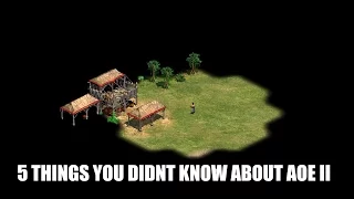 5 Things You Probably Didn't Know About AoE II