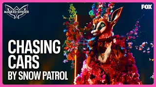 Gazelle Performs "Chasing Cars" by Snow Patrol  | Season 10 | The Masked Singer