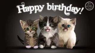 Happy Birthday cats