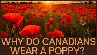 #remembranceday - A Kid's Guide to #canadianhistory #lestweforget