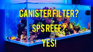 Canister Filter Reef Tank? Yes! - Tips and secrets to successful canister filter reefing