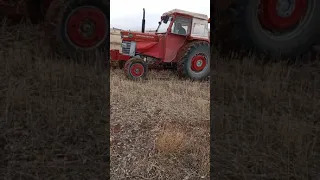 massey ferguson 188 multi power kayseri sarıoglan ebulhayır