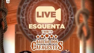 Live Prévia Bailão dos Cafagestes