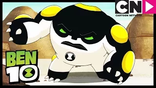 ¡El reto! | Ben 10 Español Latino | Cartoon Network