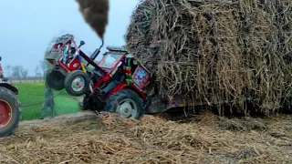 MF 260 Tractor & sugarcane loaded Trolley | fully sugarcane loaded Trolley in field work