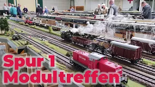 Modultreffen der Spur 1 Modellbahnfreunde in Apolda mit über 1km Strecke