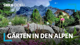 Zwischen Almen und Palmen - Gärten in den Alpen | SWR Doku