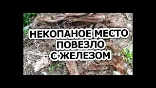 НЕКОПАНОЕ МЕСТО 300 кг. ПОВЕЗЛО С ЖЕЛЕЗОМ. КОПАЕМ С Quest Q20