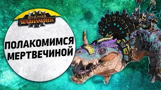 Полакомимся мертвечиной | Людоящеры vs Вампиры | Ленды | Total War: WARHAMMER 3