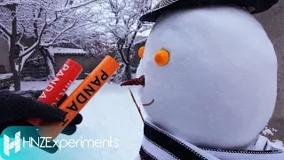 EXPERIMENT: FIRECRACKERS VS SNOWMAN