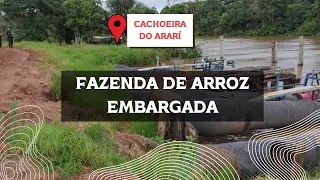 SEM LICENÇA AMBIENTAL  NO MARAJÓ ARROZEIRO DIZ QUE VAI PROCURAR GOVERNADOR