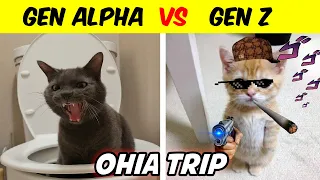 Gen Alpha vs Gen Z cats ( OHIO TRIP )