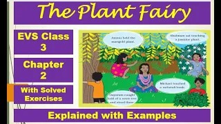 The Plant Fairy Class 3 EVS Question Answer
