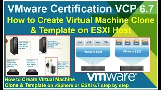 VMware  6.7 How to Create Virtual Machine Clone & Template on ESXI Host