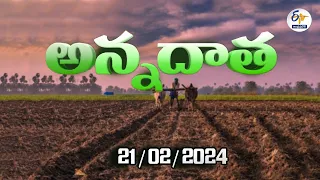 అన్నదాత | 21st February 2024 | Annadata | Full Bulletin | ETV Andhra Pradesh