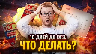 Что делать за 10 дней до ОГЭ? Советы и лайфхаки для подготовки и повторения