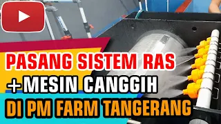 SISTEM RAS IKAN NILA DI TIGARAKSA TANGERANG