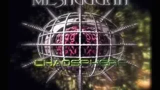 Meshuggah - New Millenium Cyanide Christ sub español lyrics