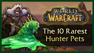 THE 10 RAREST UNOBTAINABLE HUNTER PETS - WOW 8.0.1