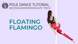 Pole Trick Tutorial: Floating Flamingo (Beginner-Intermediate Level)