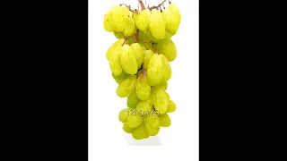 The Life Cycle of Grapes: A Fascinating Time-Lapse Journey #viralshorts  #shorts #trendingshorts