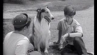 Lassie - Episode #70 - "The Watch" - Season 3, Ep. 5  - 10/7/1956