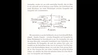 Rudolf Steiner GA 293 2  Vortrag Allgemeine Menschenkunde als Grundlage der Pädagogik