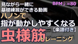 【スコア付】基礎練習 指が動かしやすくなる虫様筋トレーニング　ハノン 15番 19番　リズム練習あり　 BPM♩⁼ 80