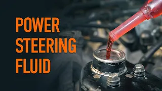 Changing the power steering fluid | AUTODOC tips