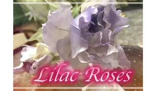 そめ花 Somebana Lilac Roses 作り方