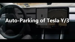 How To Auto Park Tesla | Full Autonomous Car Parking Demo | Tesla Y / 3