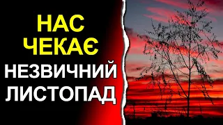 Що підготував для українців листопад? | Погода в Україні