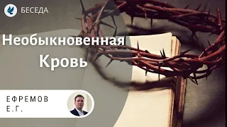 Необыкновенная Кровь! Ефремов Е.Г. Беседа МСЦ ЕХБ