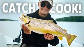 Catch And Cook - A Summer Sea Trout In The Fjord (great sea trout recipe!)