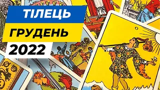 Таро для Тільців на Грудень 2022/Розклад Таро прогноз на місяць/ Гадання на картах Таро Телець 22