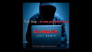 Brett Young - In case you didn't know - Dj Mellow (Animal Farm Style 2021)