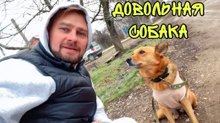 ВЛОГ ! УТЕПЛИЛ будку СОБАКЕ ! ПОКУПКИ для ЗАНЯТИЯ СПОРТОМ ! АЛИСА на ТРЕНИРОВКЕ ! Батя Лёша