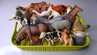 Farm Animals 30+ Figure Collection Cow Horse Donkey Sheep Cat Dog Buffalo.. Animals Demo