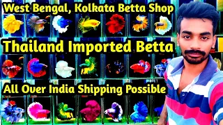 Thailand imported Betta !! Betta Farm !! 1000+ Betta Stock Update !! Thailand Betta !! Betta !!