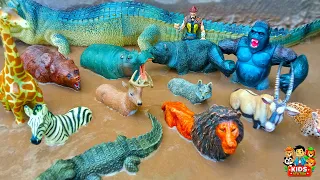 Jungle Animals Toys | Animals in Mud | Animals in the Muddy Sandbox! Kids Fun Learning