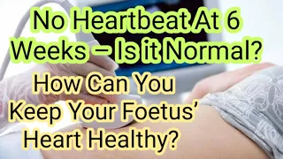 No Heartbeat At 6 Weeks – Is it Normal? How Can You Keep Your Foetus’ Heart Healthy? |English