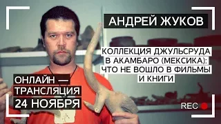 Андрей Жуков: Коллекция Джульсруда в Акамбаро. Ч1