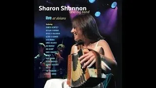 Sharon Shannon feat. Declan O'Rourke - Galileo [Audio Stream]