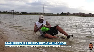 Video Shows Florida Man Rescuing His Puppy From Alligator Attack | @Reesetopher_