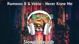 Rameses B & Veela - Never Knew Me | Phonk | NCS | Slowed Reverb