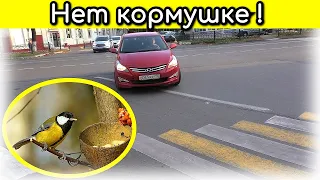 Подольск / Кормушка ДПС / Хватит издеваться над водителями!