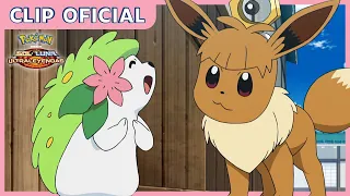 ¡Shaymin, Meltan y Areni! | Serie Pokémon Sol y Luna-Ultraleyendas | Clip Oficial